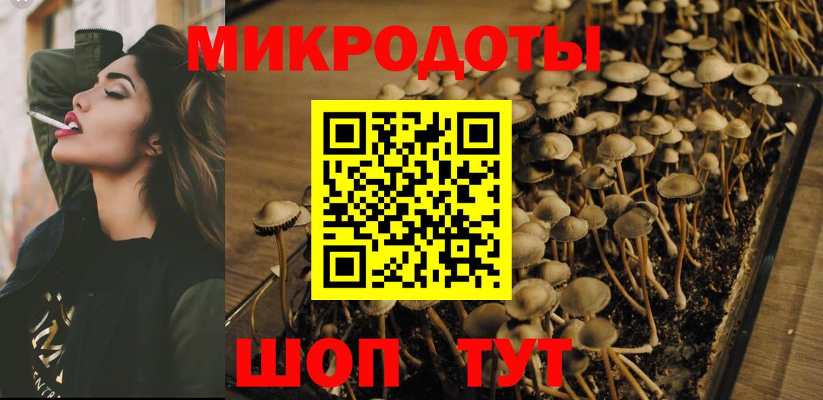 Псилоцибиновые грибы GOLDEN TEACHER Кингисепп