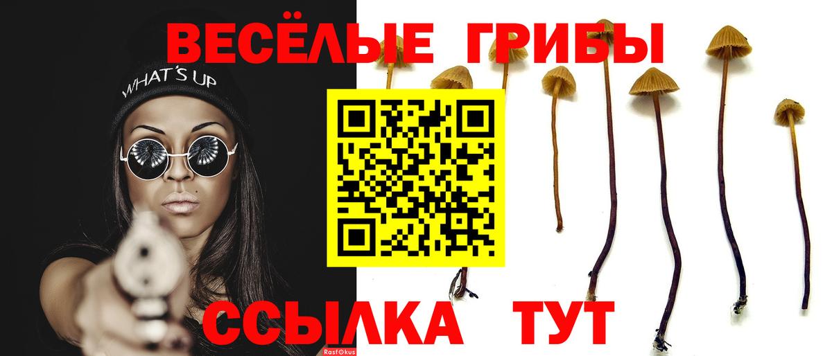 Кингисепп  Псилоцибиновые грибы Magic Shrooms  Псилоцибиновые грибы мухоморы  Вход с VPN 